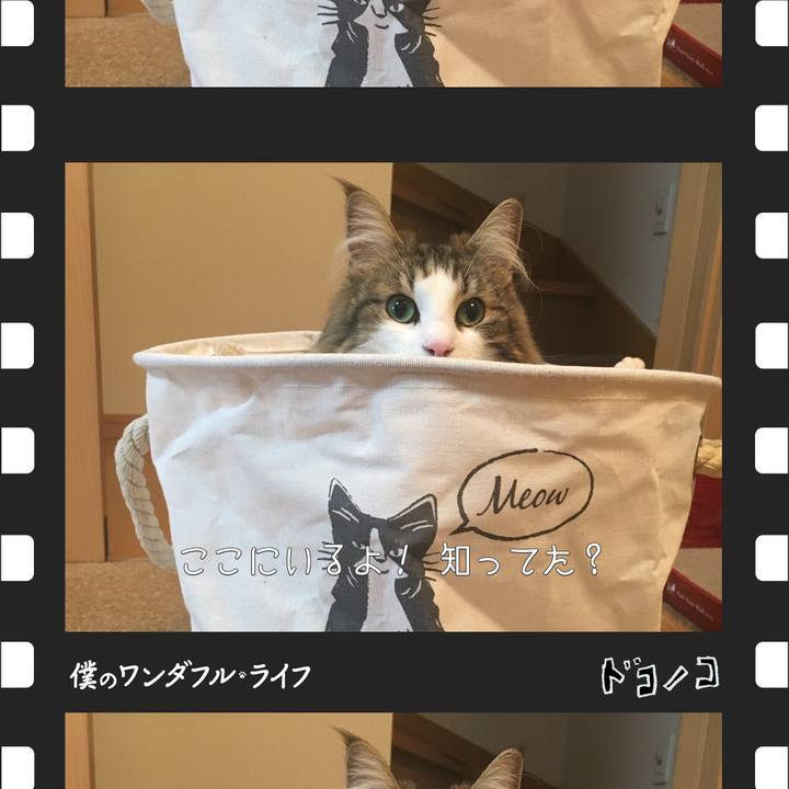 278d0245 a6a2 4887 bf37 626f2f92f91e