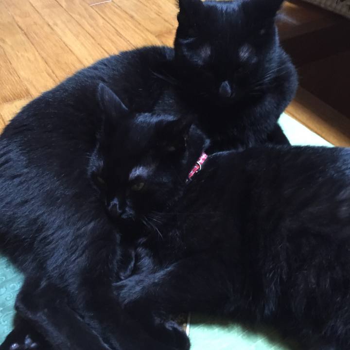 278d3381 02f8 4dd7 8a6e f29433c8e581