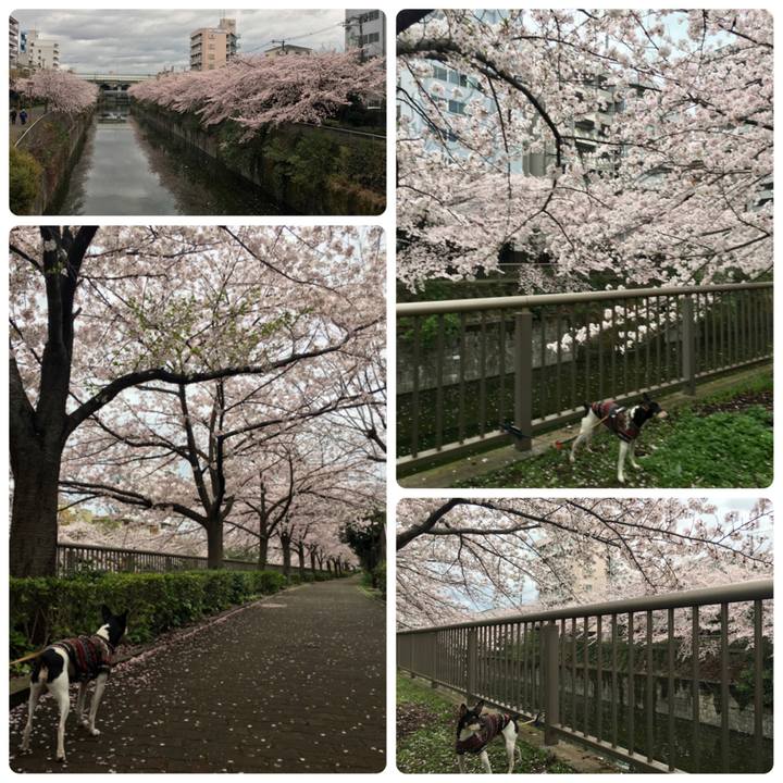 278d47be d734 4abc 81eb c01808381d69