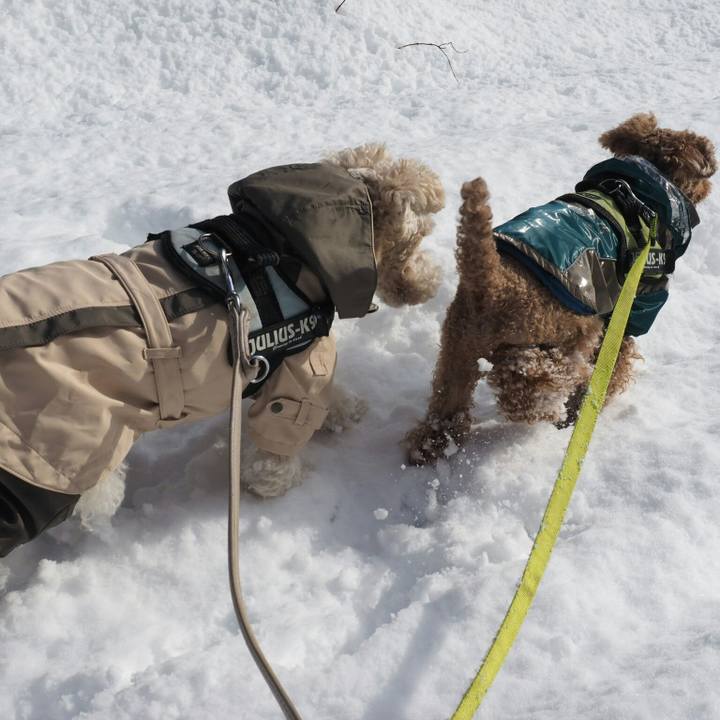 278d6db8 bfd2 4115 9029 cec6e6df8162