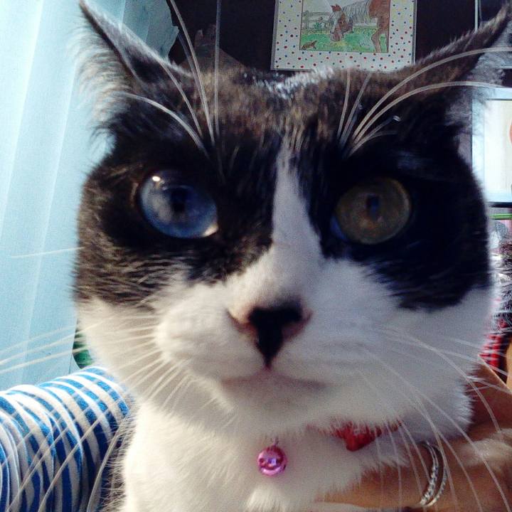 278e70cb 5a63 4088 821e f1f3f0021c9e