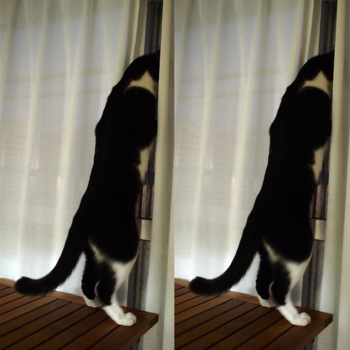 278f638a 30f2 41bc b4f5 9361d9e66d99