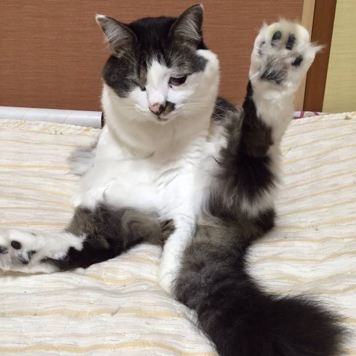 278fa6ad ae0c 4b06 b645 3b1efc723433