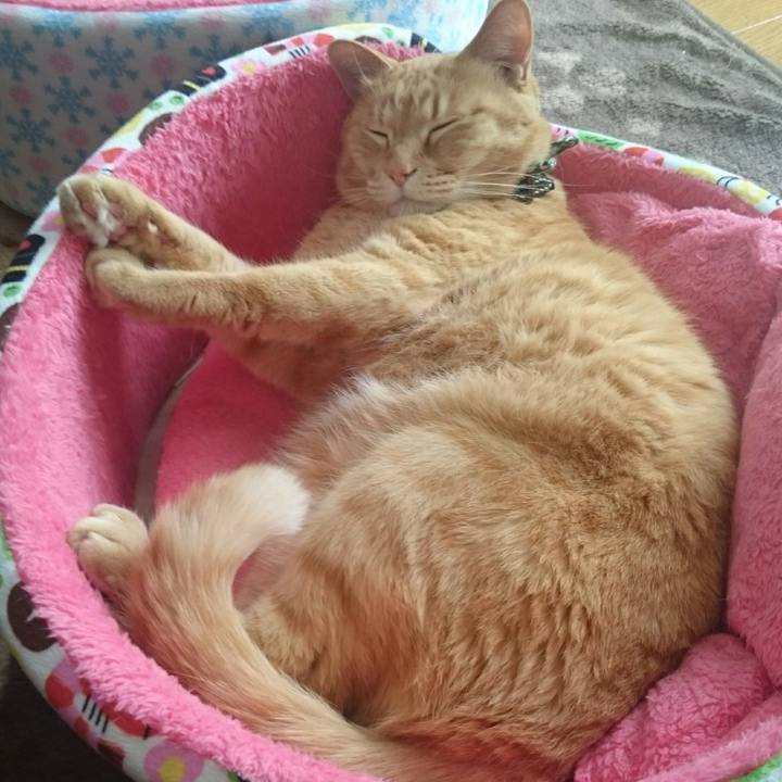 27905942 57c8 46a6 97da 668c38553b9f