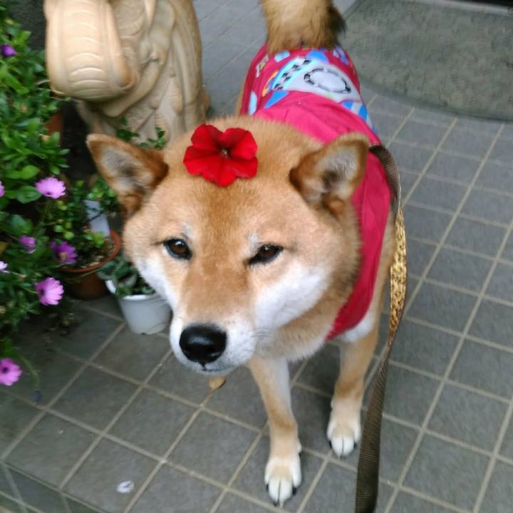 2790aef2 2aba 471c acb4 b10b5dbdcd0c