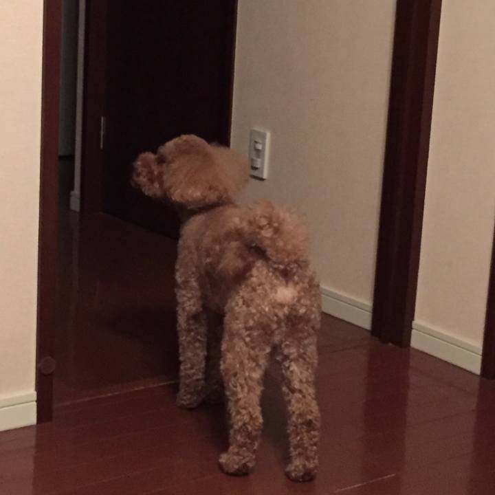 2790f873 8b93 497c 98d9 cba51346cd5e