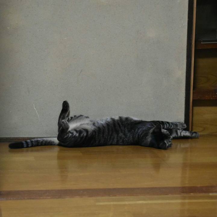 2791af46 3b49 40a1 b4e2 1929d60574e5