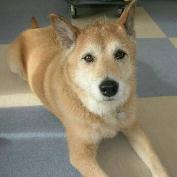 279218b3 1cf6 46f8 ac11 c24f6207d18b