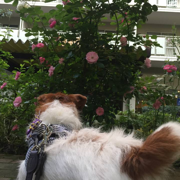 27931154 ddcf 43f3 a4c1 84a38a098ee6