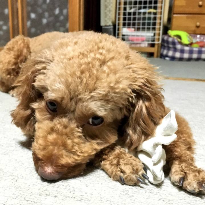 279398cc 8d39 4d8c 9026 f49f367f5679