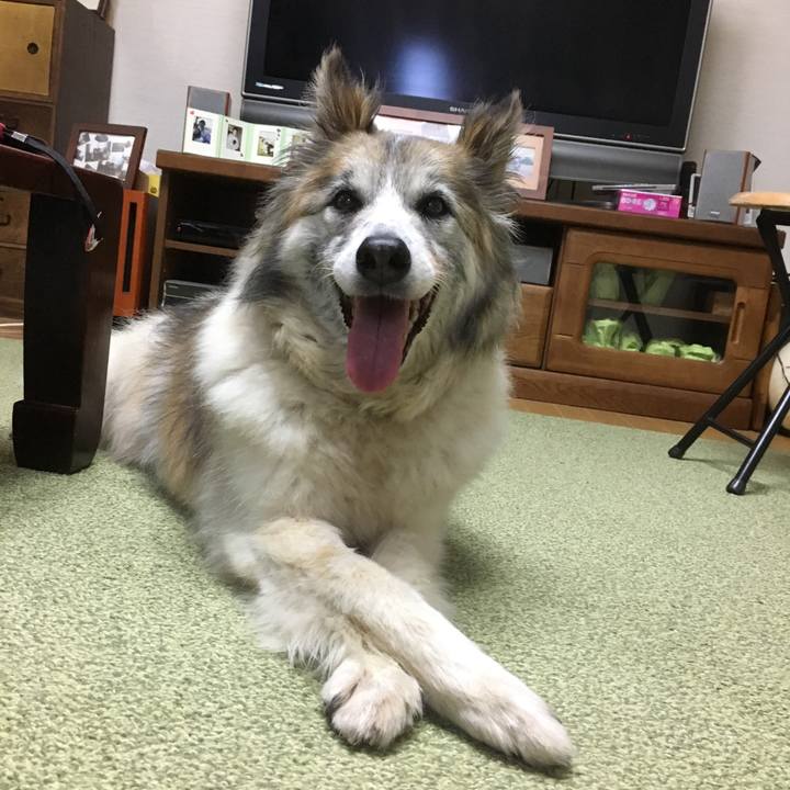 2793feca 51ec 4fd9 a3e7 659130468584