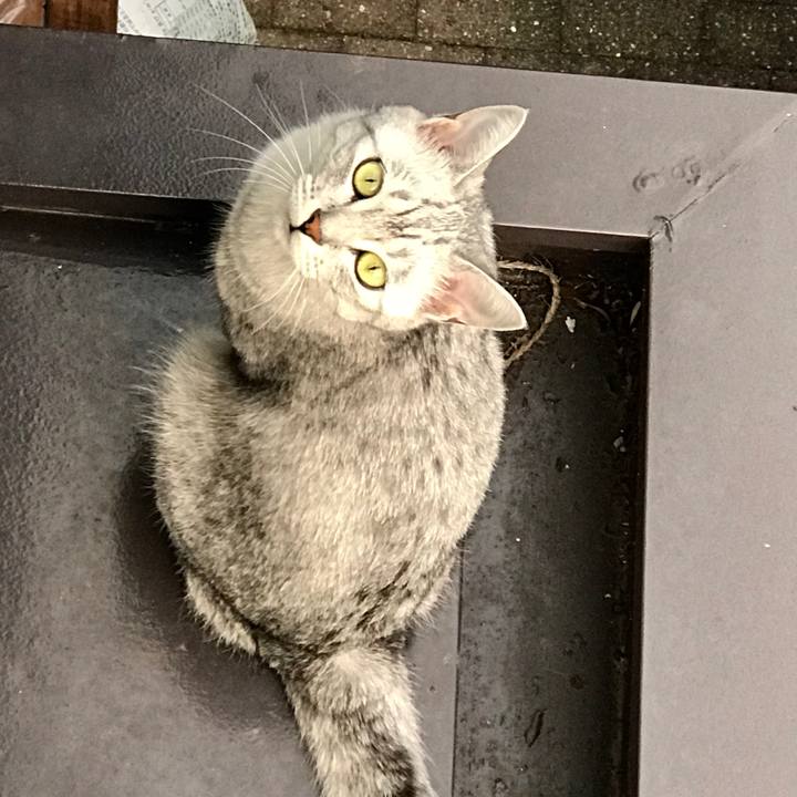 2794106c 2689 4567 bd6f 8916c55ff1e5