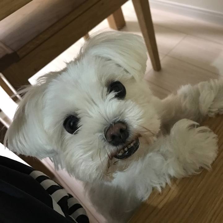 27941b12 9c19 4514 b4c5 52e7453d248d