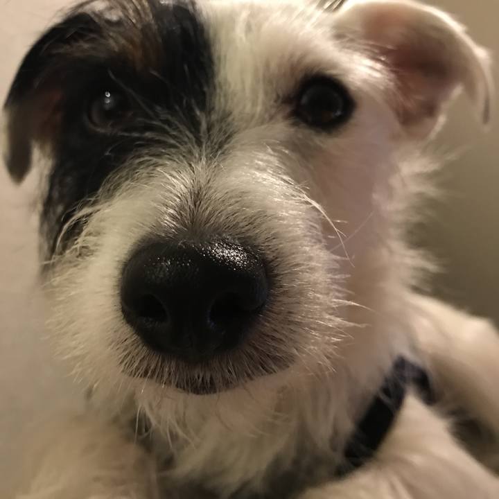 27947b17 b3f5 4a60 802a 0b5de786ba3e