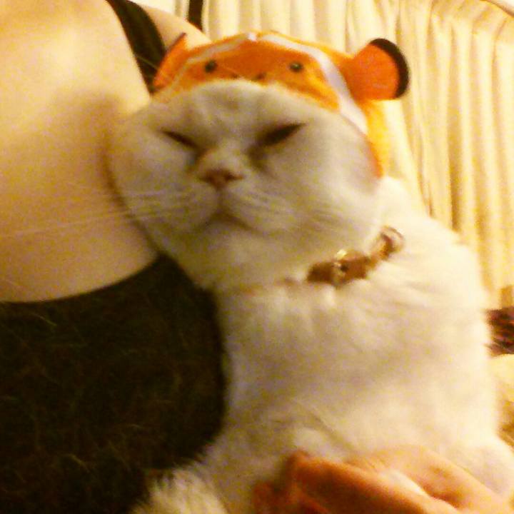 2794e0d5 323a 4a36 9514 54e361b756f0