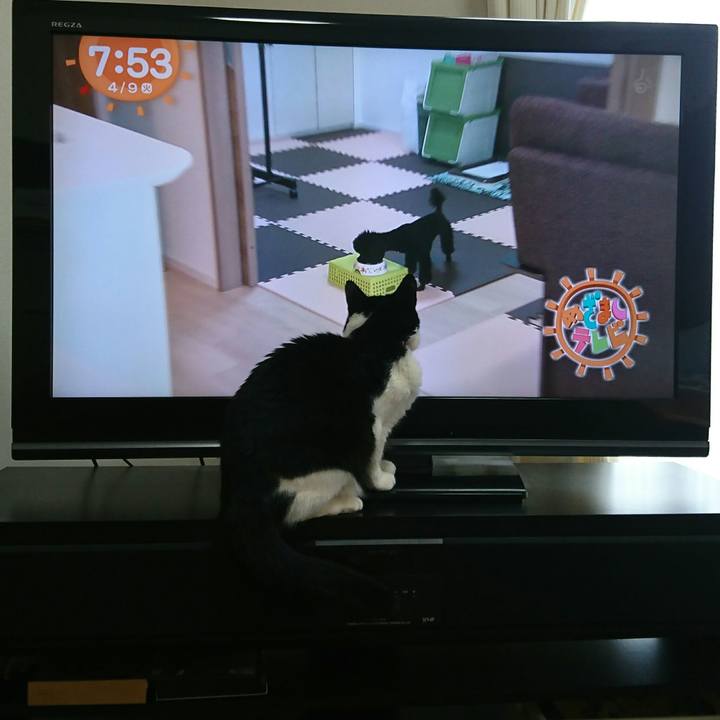 2794f486 fe79 429e 9cd6 2d3e58fc6ca5