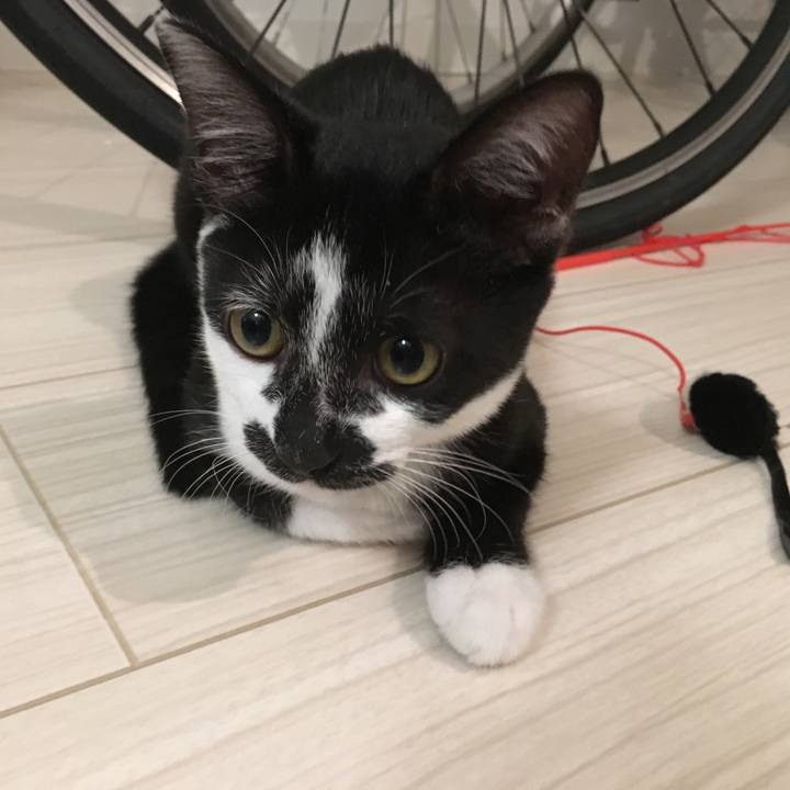 2795003a a03a 49c9 be0d 01c66d89e26a