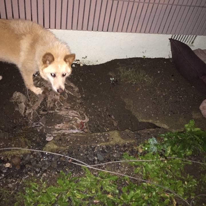 279513ce e4b0 4dd6 87ef 00744b906752