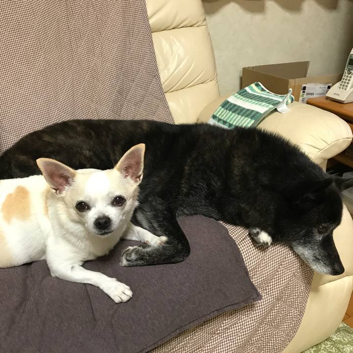 279518c2 d152 4373 a8b8 3953e1a4f88e