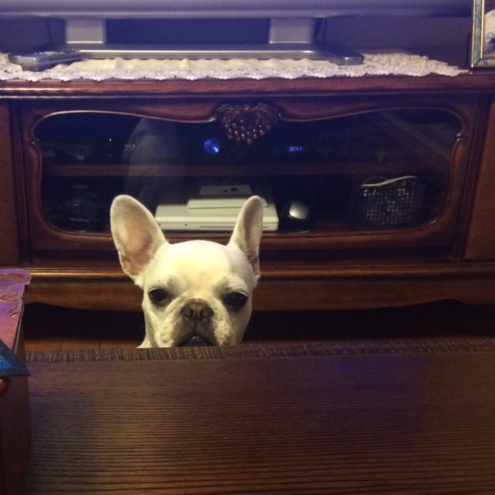 2795b00c aa6a 42df 9c64 18f64ad27bc0