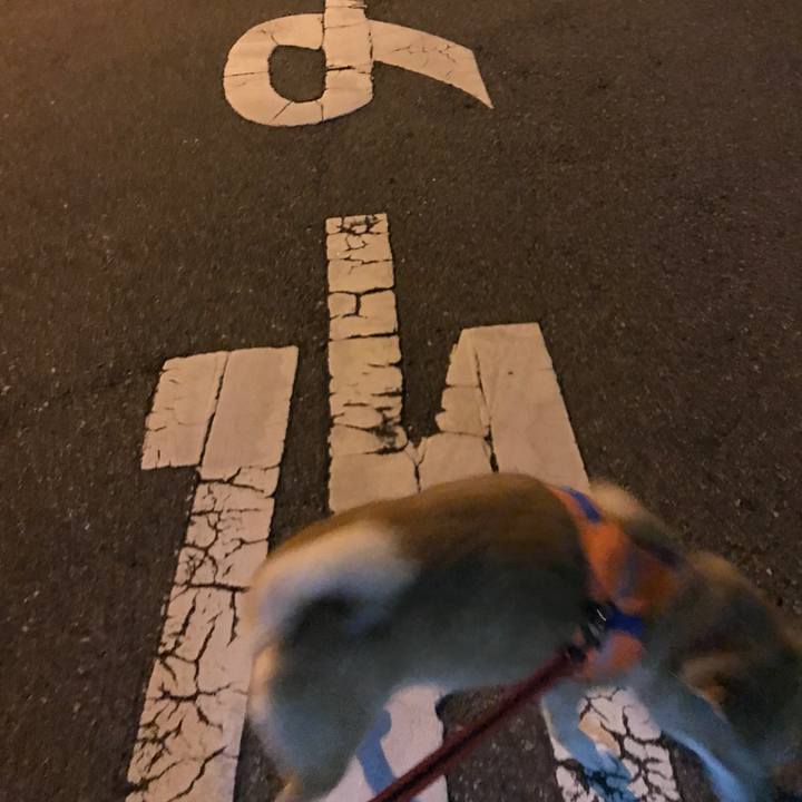 2795dfab 9b0a 4577 87f3 3213686a3ea9