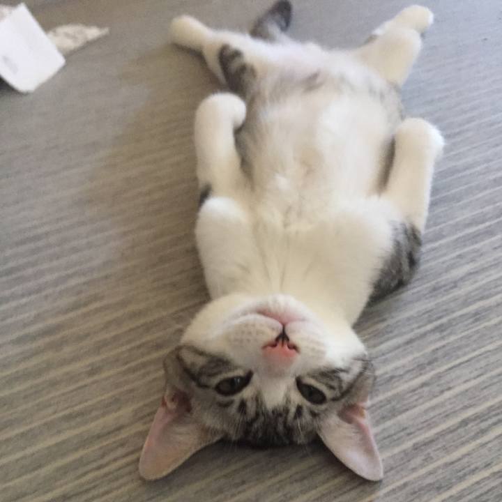 279610e6 b95e 40fb 98fc fcaeac8ed359