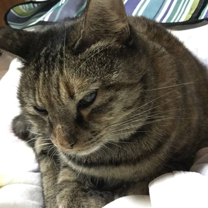 27966f4d 3fcb 4159 ac70 9e9a5885df3d