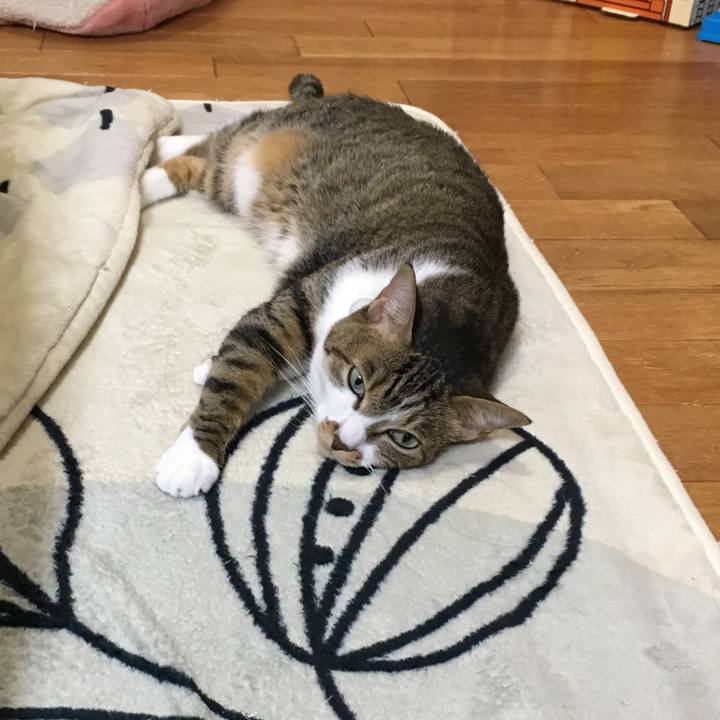 2796adb6 7f6e 4ab5 a8c6 fa9e9c516130