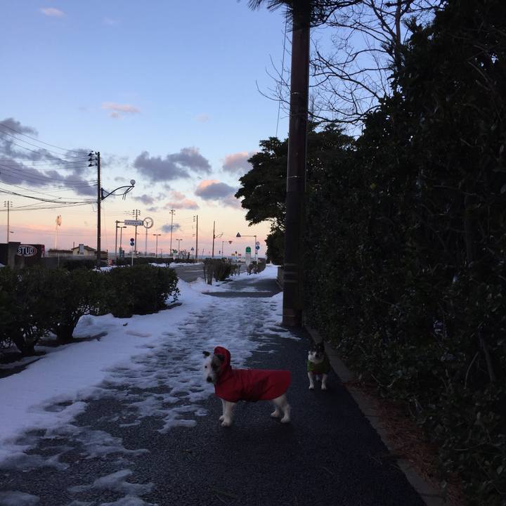 2796b2b0 3db4 4541 bd62 b171ed06282d