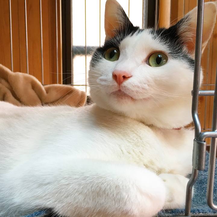 2796c571 fc41 49d9 aec2 0c39568006ed