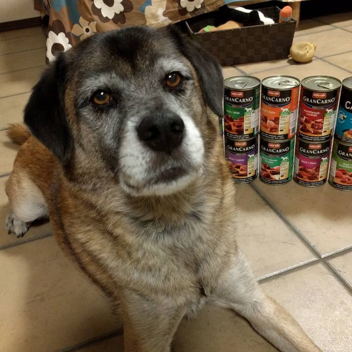 27970230 95f5 4f1a a118 9e4825fbd954