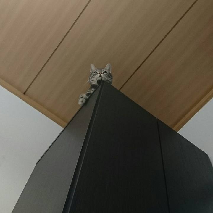 27972988 8d37 4fc6 a66a d5648fc2a831