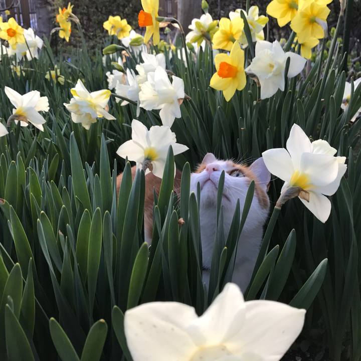 2797afab 9842 44b3 91da 3feb89b62811