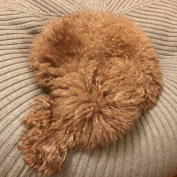 2798f0a0 ccb0 4bd2 971f 88bc30d06a1a