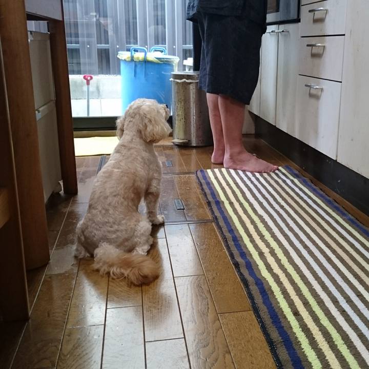 2799c228 fee3 4012 b37f 1a722f4ab0c4