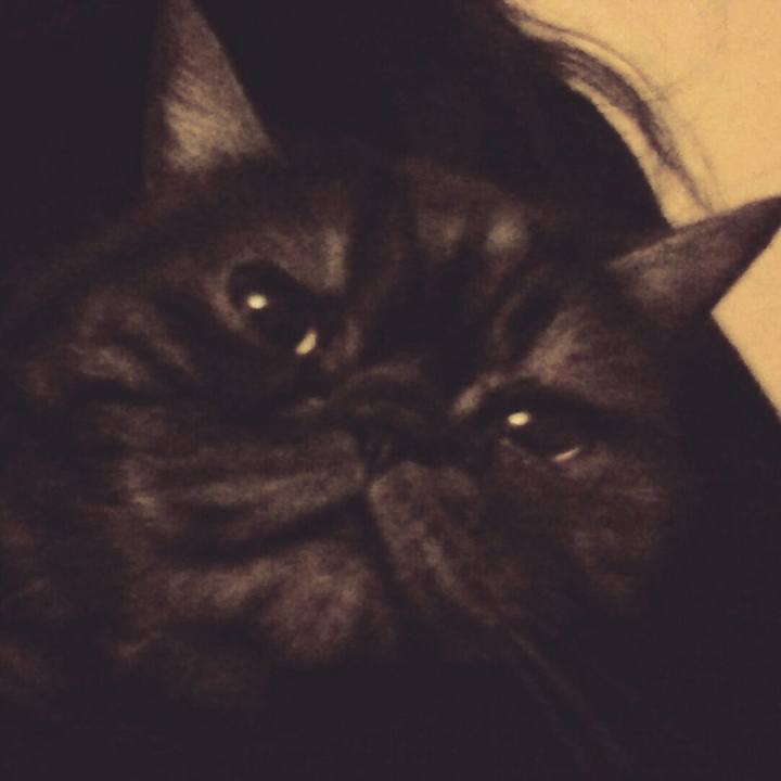 2799e09f ef1b 4ff1 ad36 158623017d63