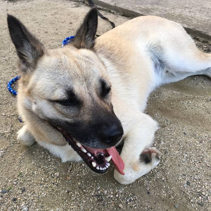 279a12a9 cace 46e7 8393 188d76491861