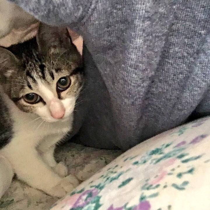 279a4f83 9f27 4ff7 a0e3 89fe5c4f17cf