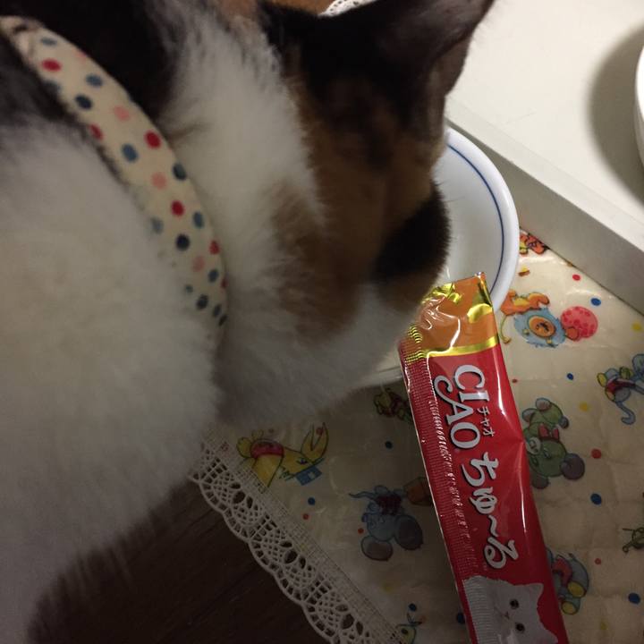 279a5a92 fa87 4ead 9192 3928e2db44f3