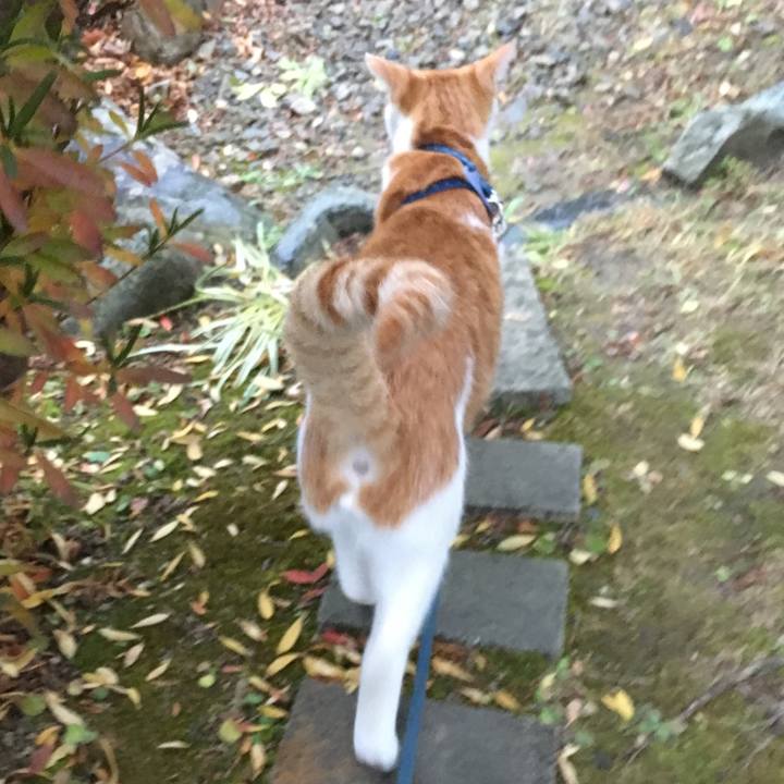 279af832 3fe6 48fd b0cb 69d04eaa79ae