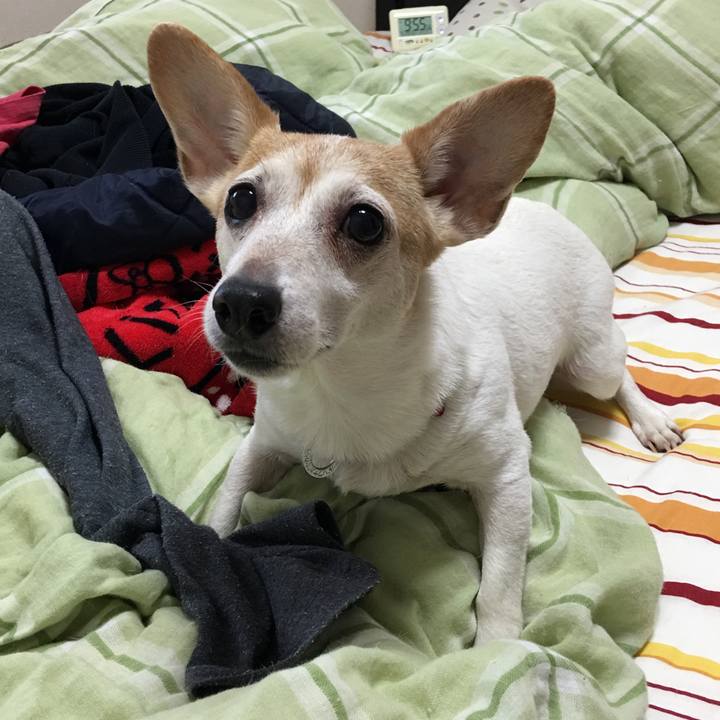 279b6ced 864b 4af9 bc8d 93f38be788f7