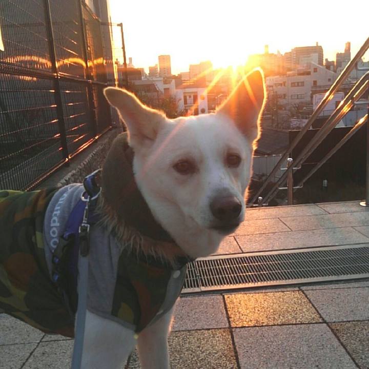 279bc916 afaf 4e9f acba 6dc954d15315