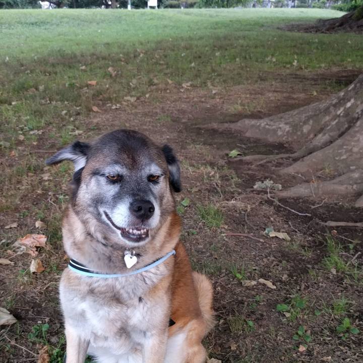 279cd71a 97d7 46bc 8451 c2b4d523b4be