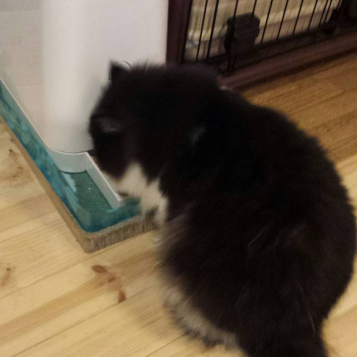 279dbf05 a726 41a8 bc0f a64c3b701212