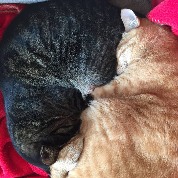 279df55b d39c 402a 9efc 1c8f3b5f7a1c