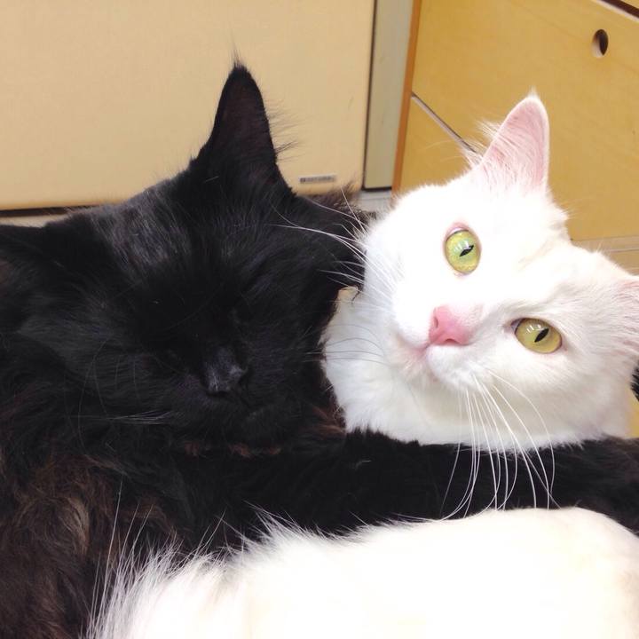 279dfb23 ef98 42d2 80ca 96547b06537e