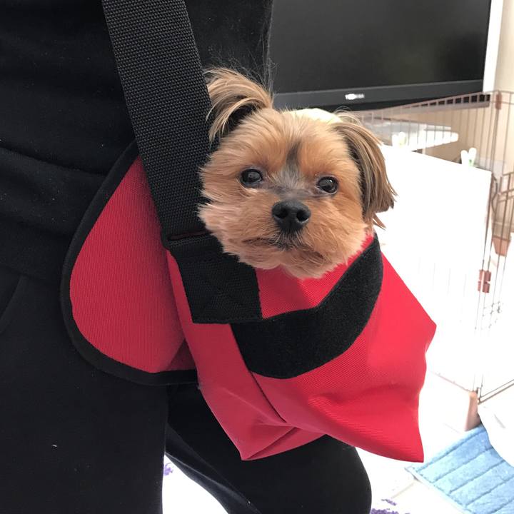 279f4fed a887 48df 933d d49027bfebc8