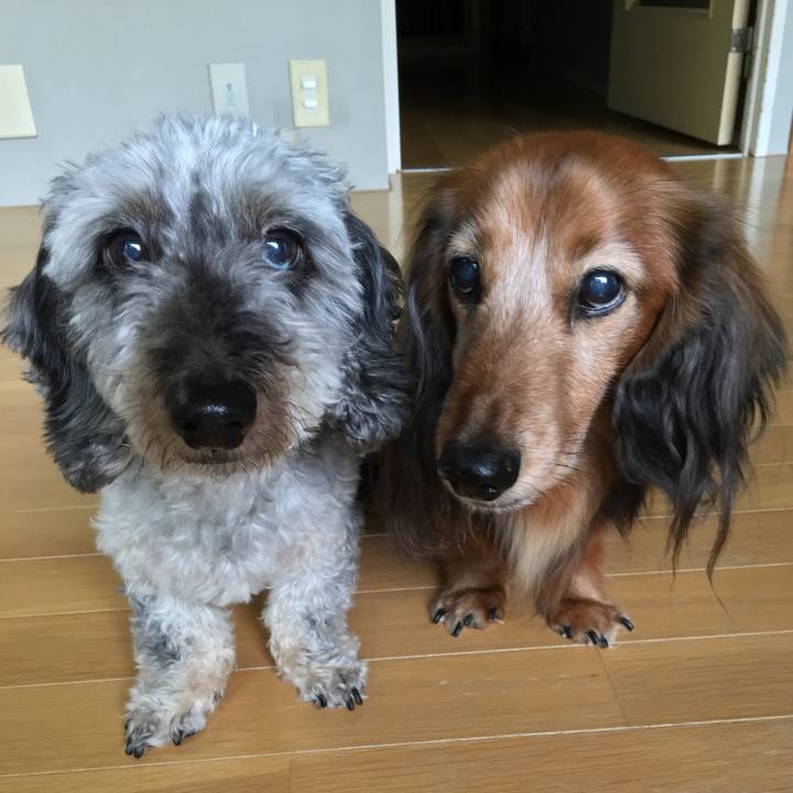 279fc1ee 1f4e 4d7f 925f 2162ca3b9d7a