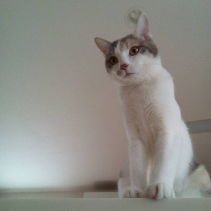 279fea7d ec1f 4fff 9454 88dbd15ec52f