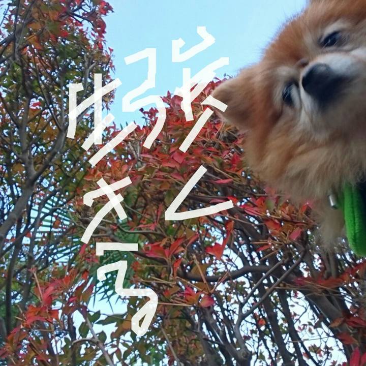 27a08bf1 8f02 43f2 9cf4 8a0e6a884891